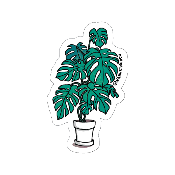 1 ensemble cadre en fer plante verte autocollant mural plantes en pot  Stickers muraux bricolage amovible Cactus Monstera Stickers muraux pour la