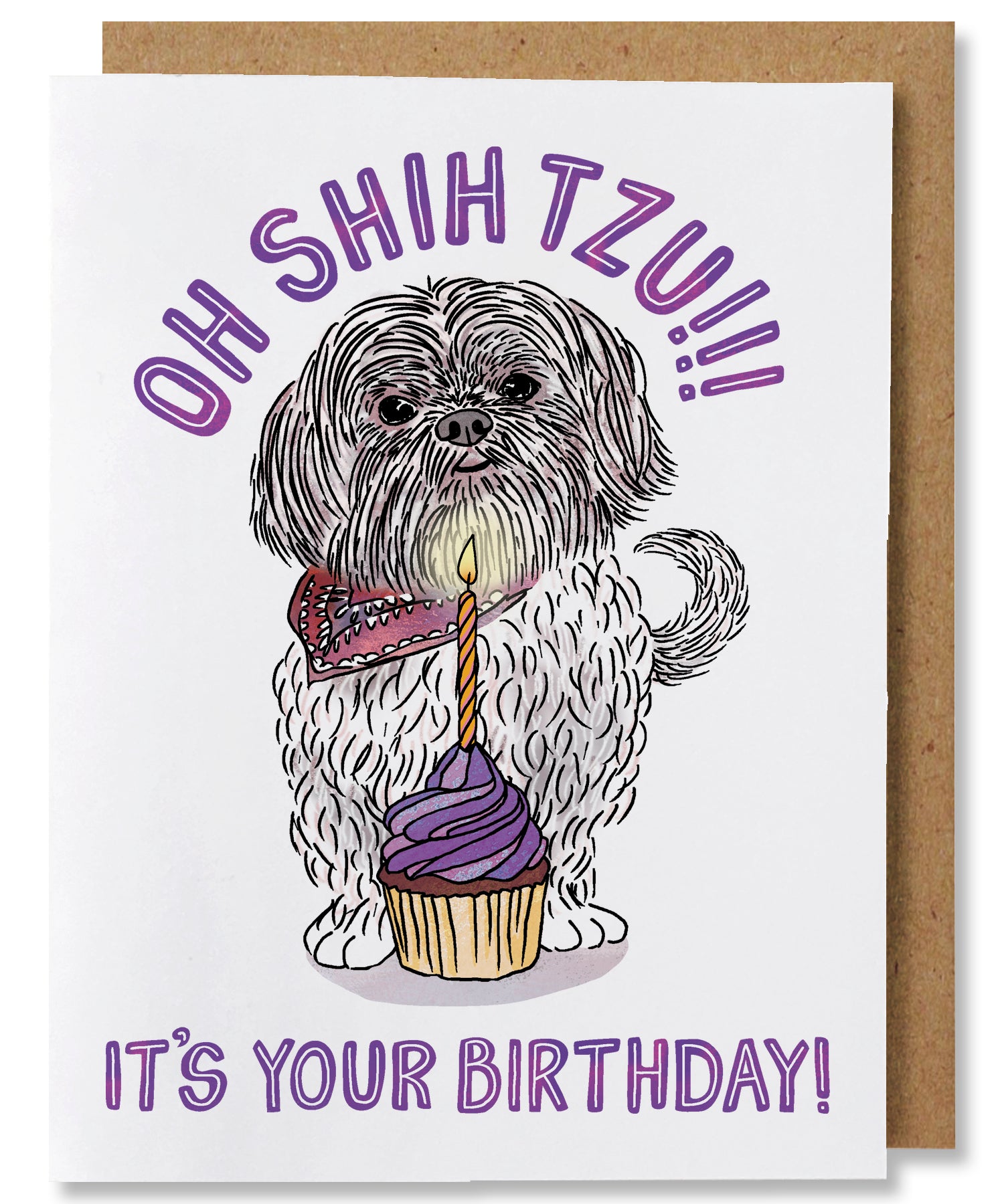  Funny Birthday Card. I Got You A Birthday Cod. Punny