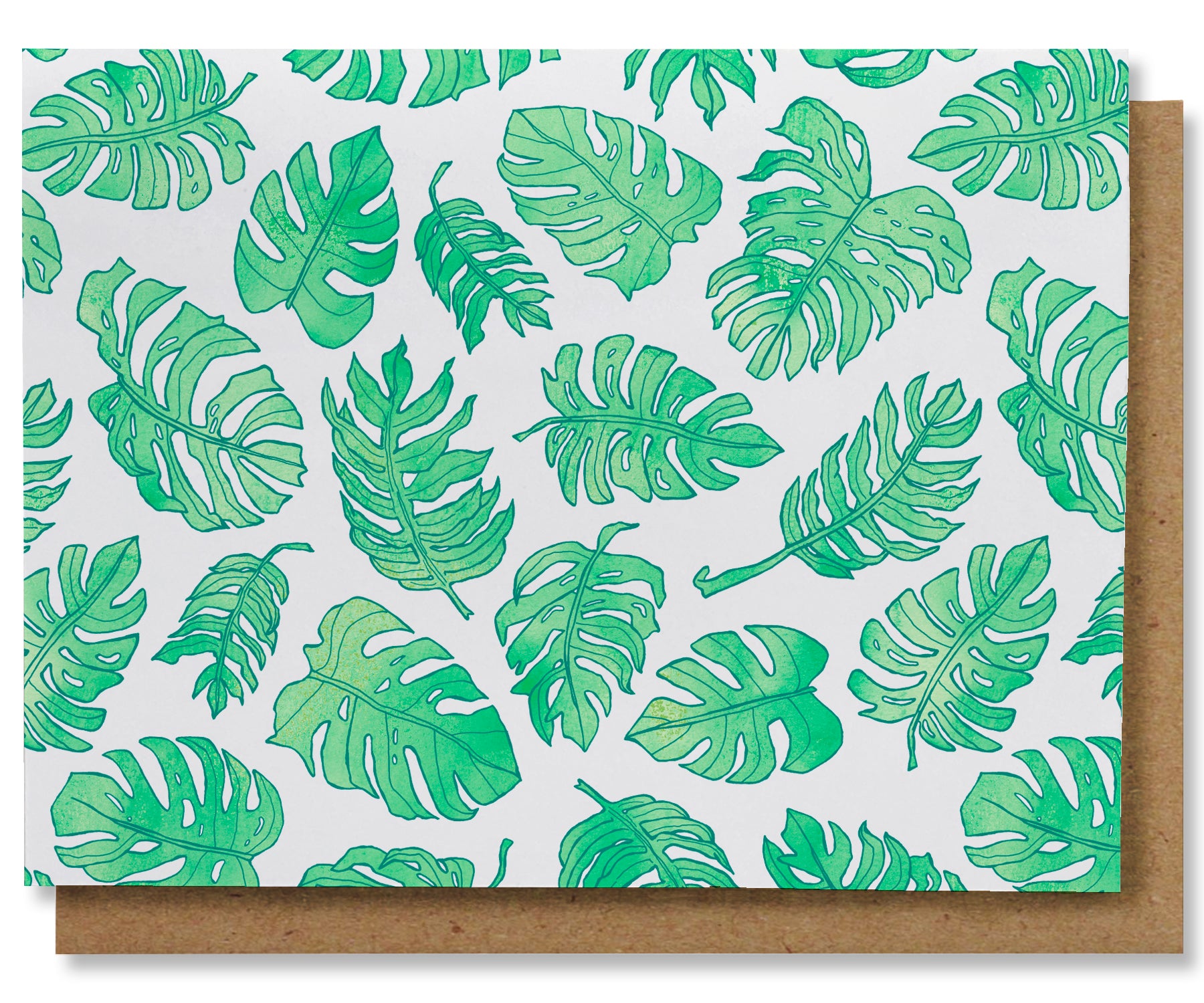 Monstera - Illustrated Nature Plant Sticker – NANU Studio