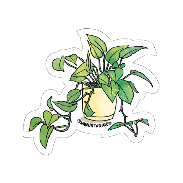 Monstera - Illustrated Nature Plant Sticker – NANU Studio